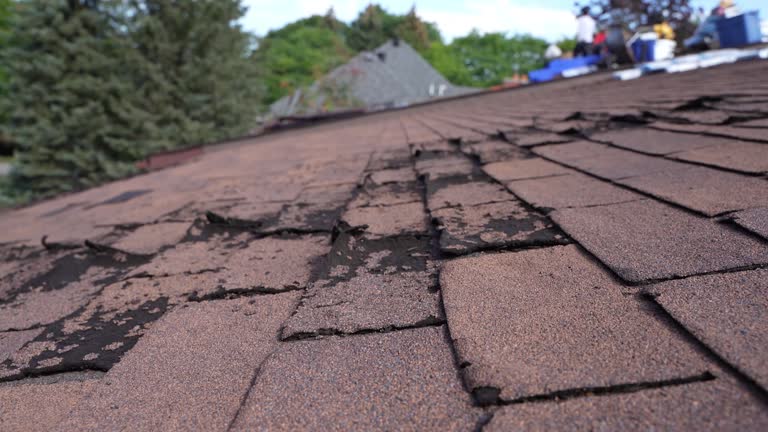 Fast & Reliable Emergency Roof Repairs in Wooster, AR